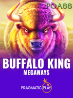 Buffalo King icon